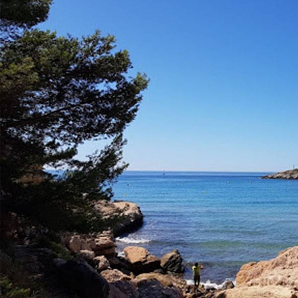 Le Restaurant - Le Thalassa - Restaurant Martigues - Restaurant bord de mer Martigues