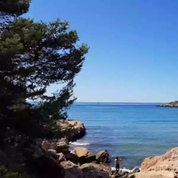 Le Restaurant - Le Thalassa - Restaurant Martigues - manger a MARTIGUES